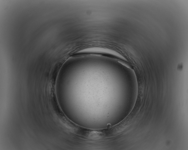 X0000094770222200711241324