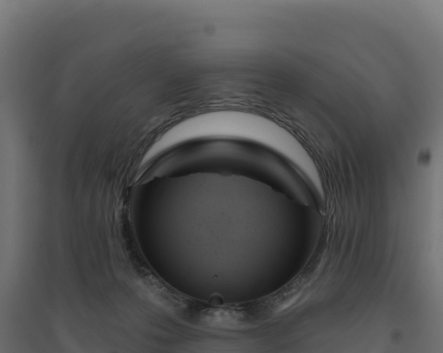 X0000094770223200711241324