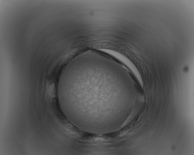 X0000094770224200711241324