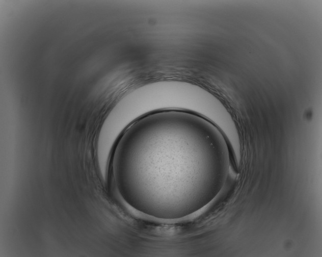 X0000094770225200711241324