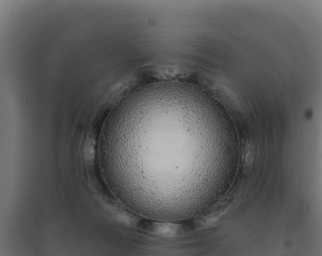 X0000094770226200711241324