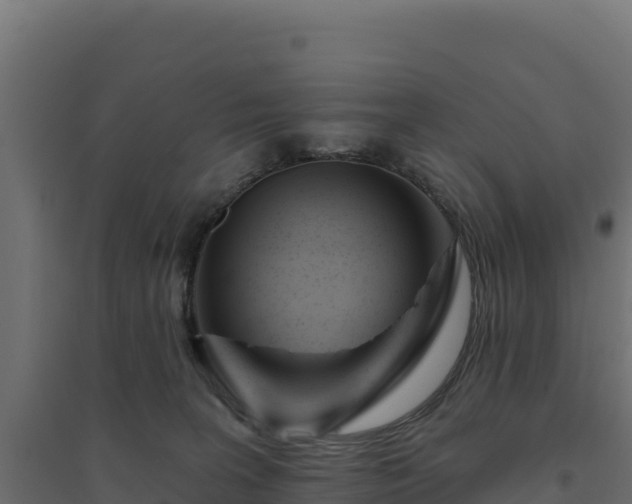 X0000094770227200711241324