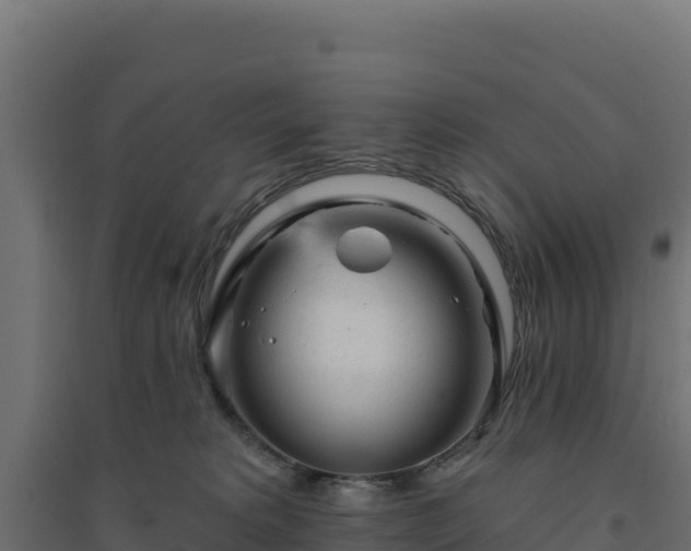 X0000094770229200711241324