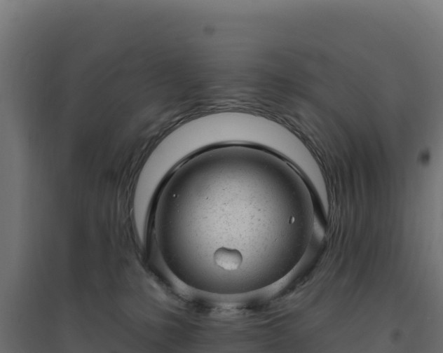 X0000094770231200711241324