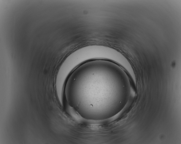 X0000094770233200711241324