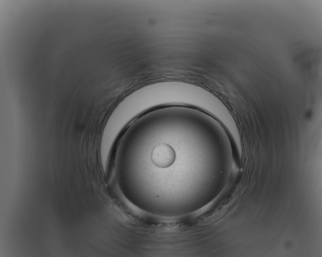 X0000094770235200711241324