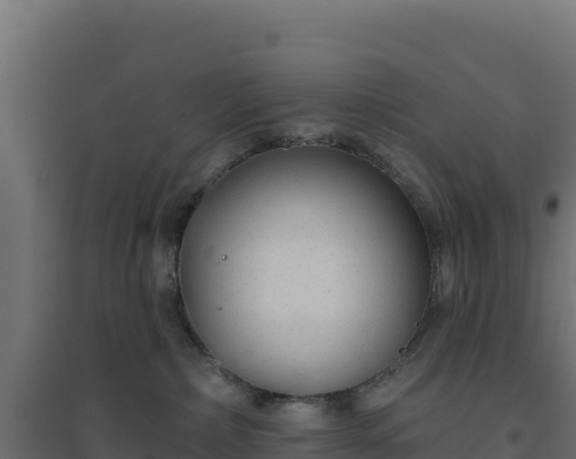 X0000094770236200711241324