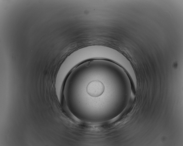 X0000094770237200711241324