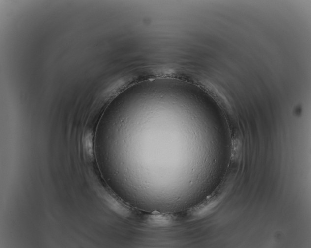 X0000094770238200711241324