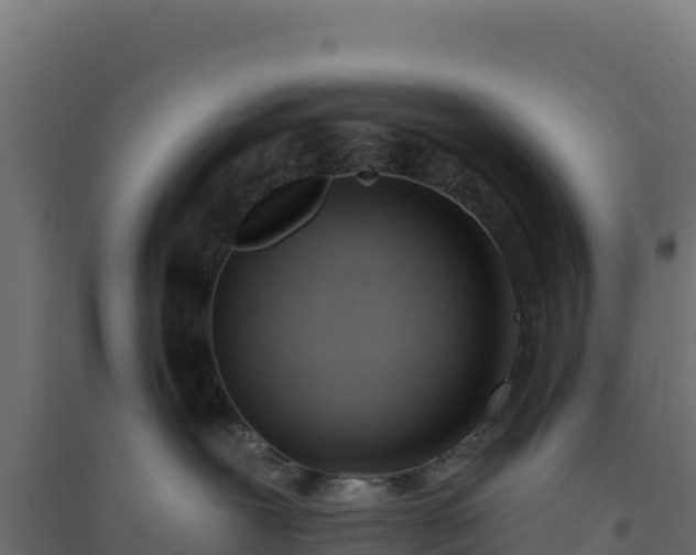 X0000094770239200711241324