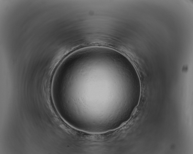 X0000094770241200711241323