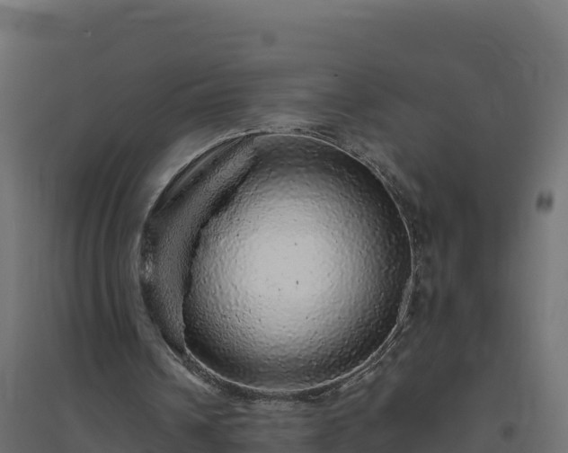 X0000094770242200711241323