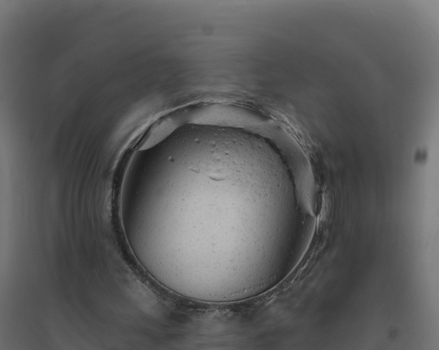 X0000094770243200711241323