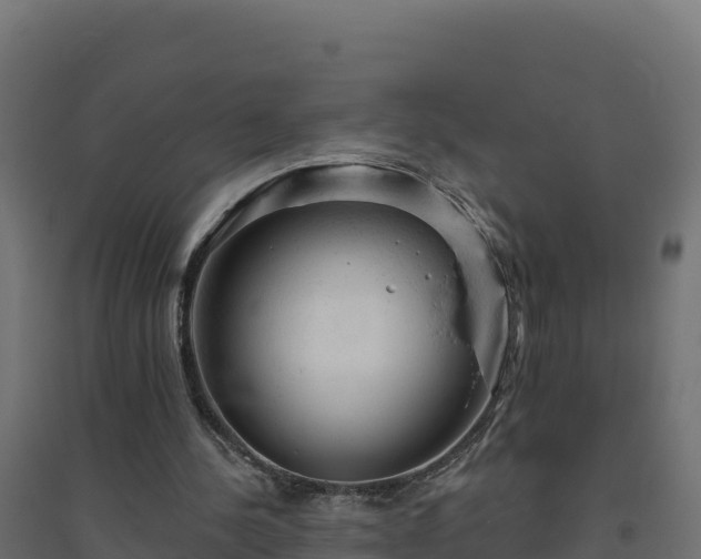 X0000094770244200711241323