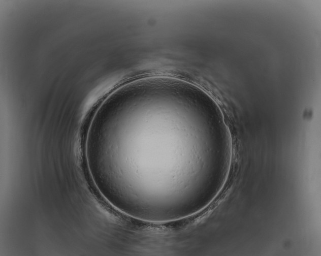 X0000094770245200711241323