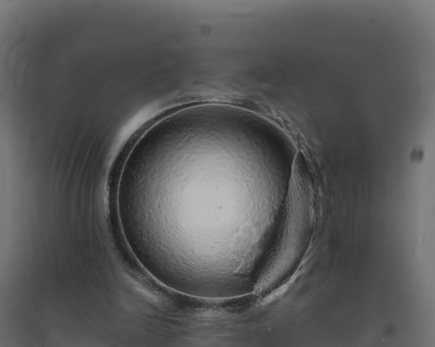 X0000094770246200711241323