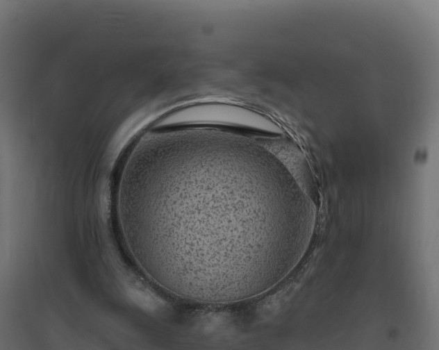 X0000094770247200711241323