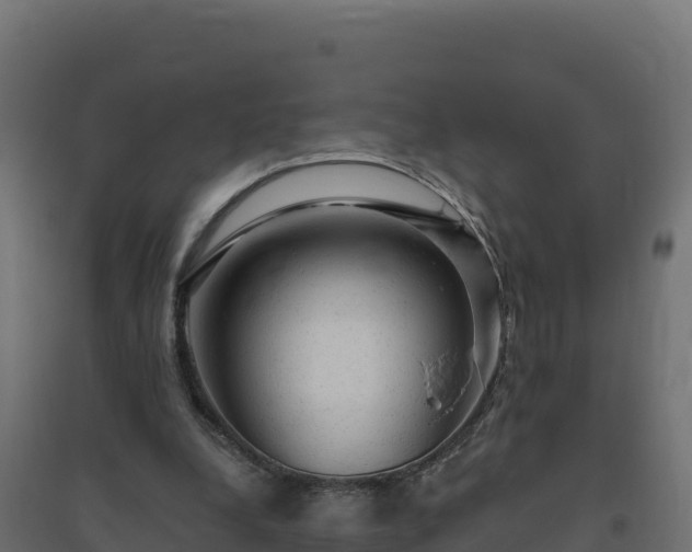 X0000094770248200711241323