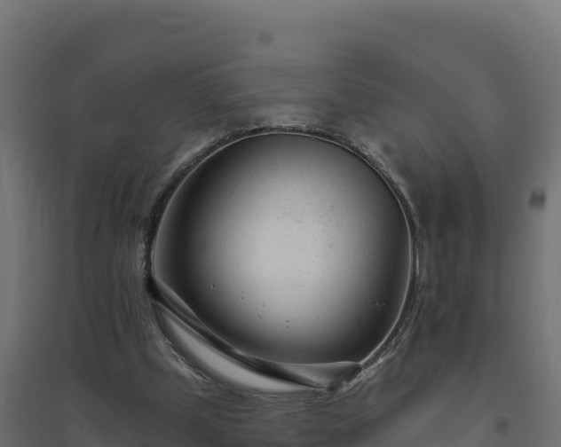 X0000094770249200711241323