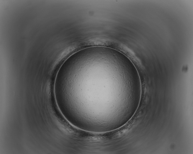 X0000094770250200711241323