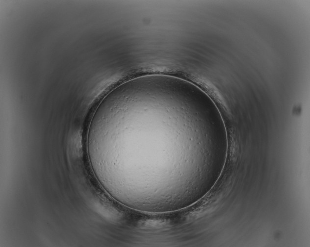 X0000094770251200711241323