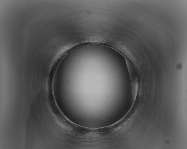 X0000094770252200711241323