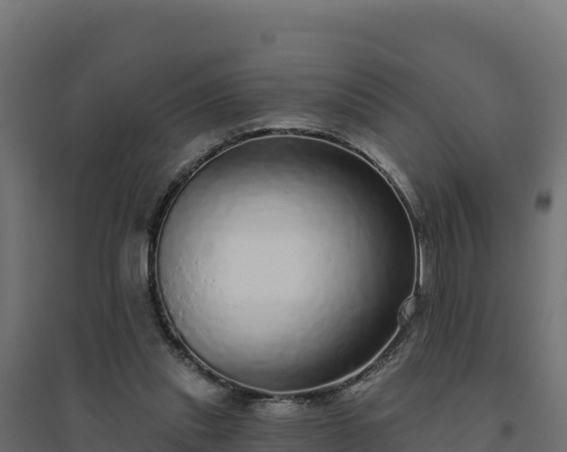 X0000094770253200711241323