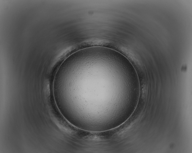 X0000094770254200711241323