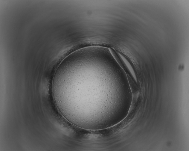 X0000094770255200711241323