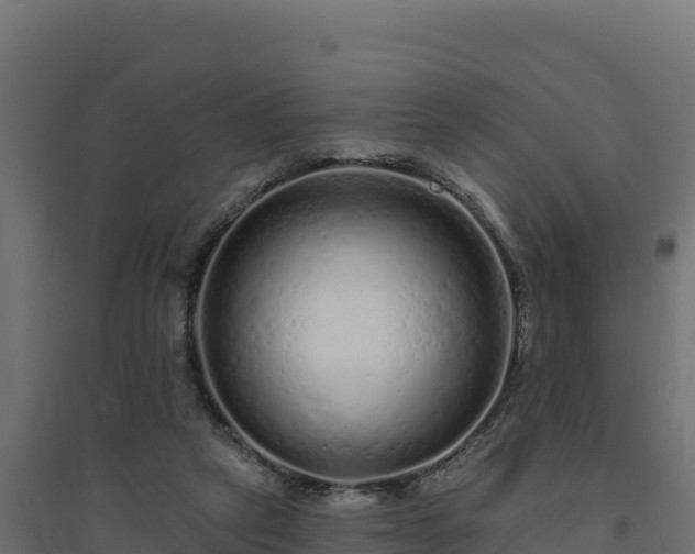 X0000094770257200711241323