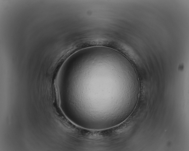 X0000094770258200711241323