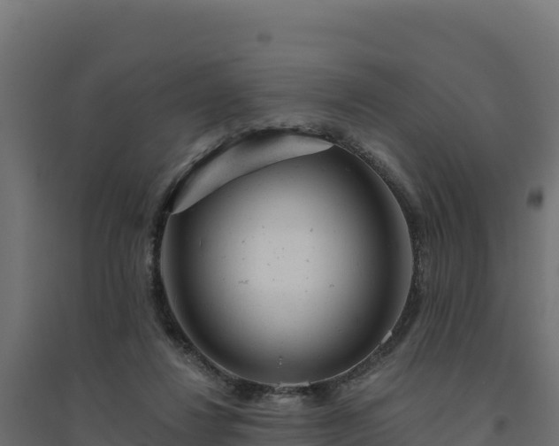 X0000094770260200711241323