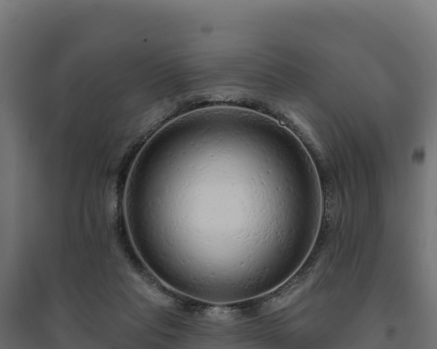 X0000094770261200711241323