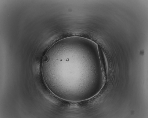 X0000094770262200711241323