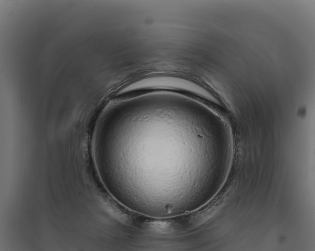 X0000094770265200711241323