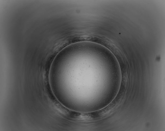 X0000094770270200711241323