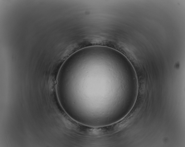 X0000094770273200711241323