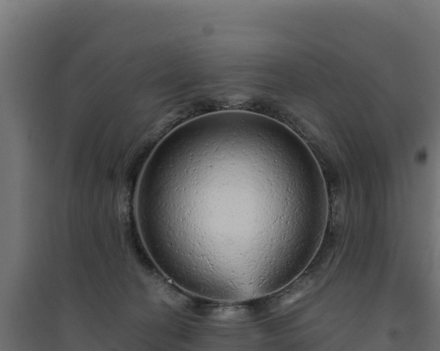 X0000094770274200711241323