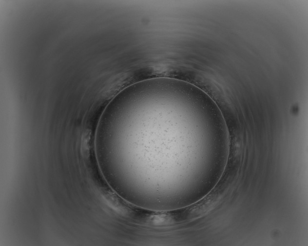 X0000094770275200711241323