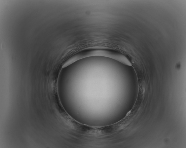 X0000094770276200711241323