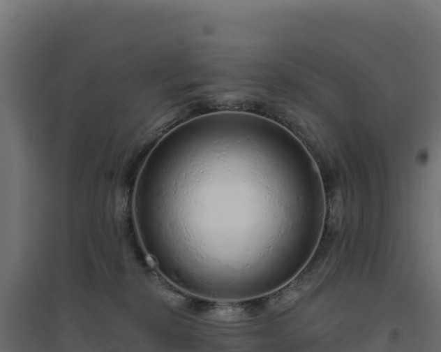 X0000094770278200711241323