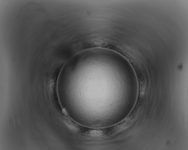 X0000094770279200711241323