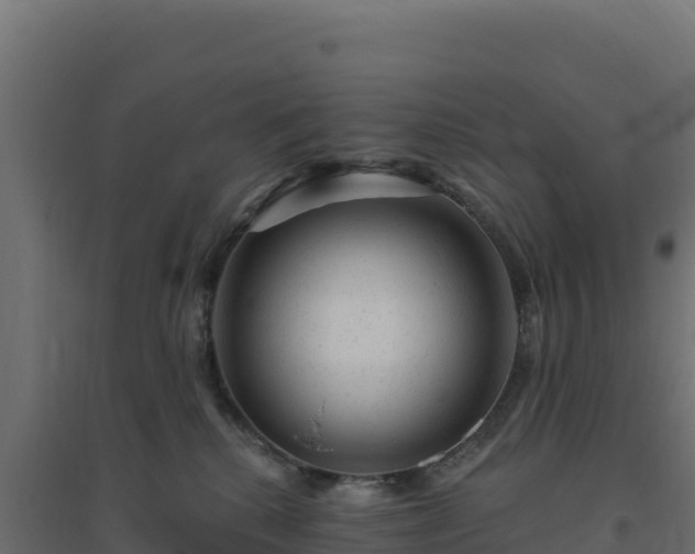 X0000094770280200711241323