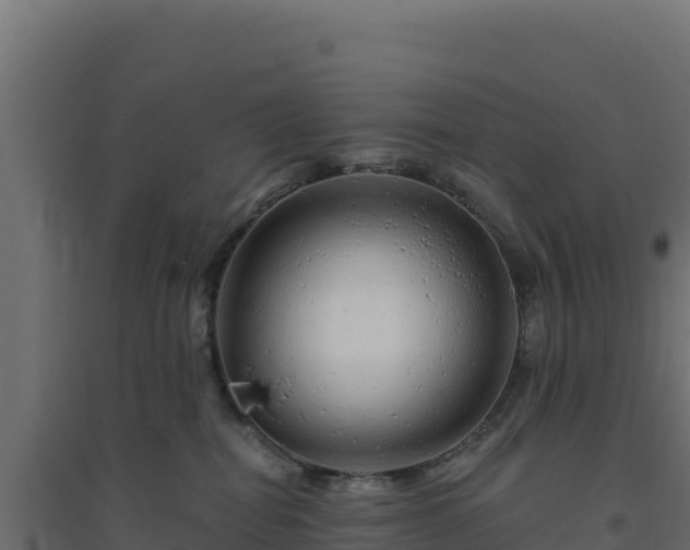 X0000094770282200711241323