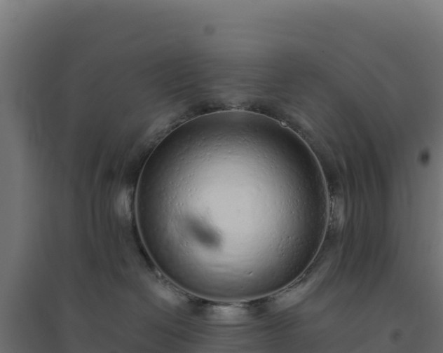 X0000094770286200711241323