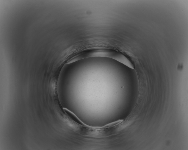 X0000094770288200711241324