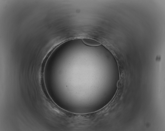 X0000094770290200711241323