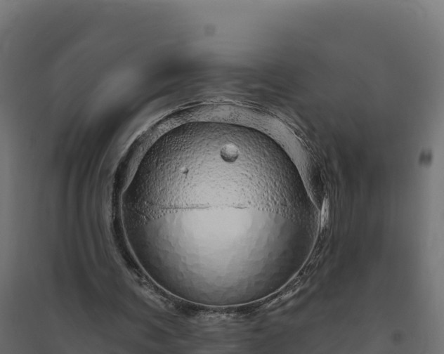 X0000094770291200711241323