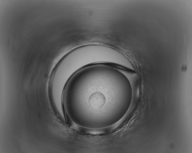 X0000094770292200711241323