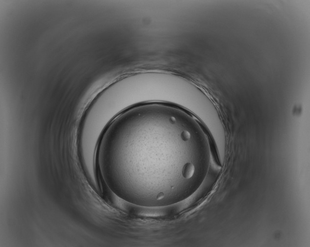 X0000094770293200711241323